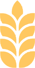 épi jaune