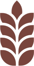 épi marron