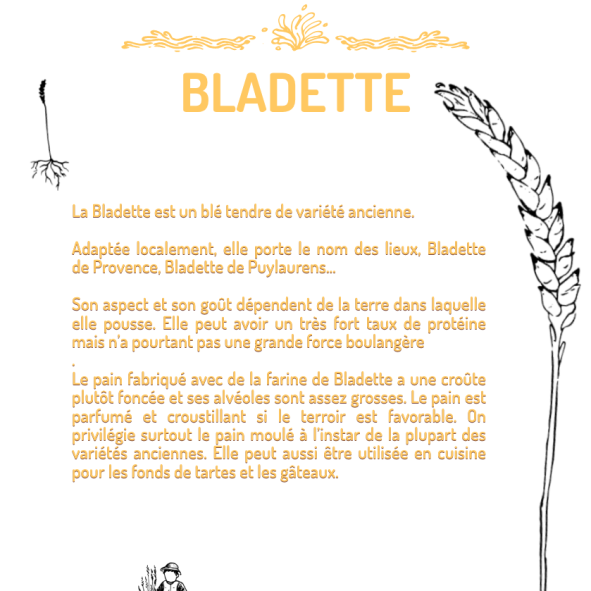 BLADETTE