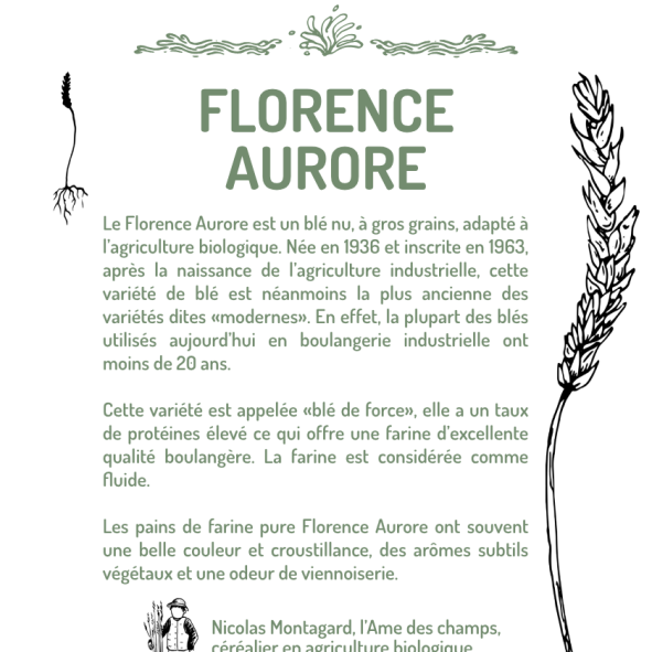 FLORENCE-AURORE
