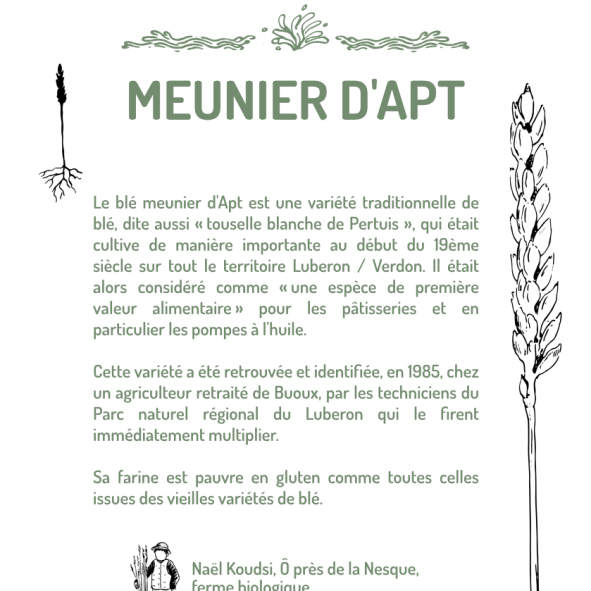 MEUNIER-DAPT