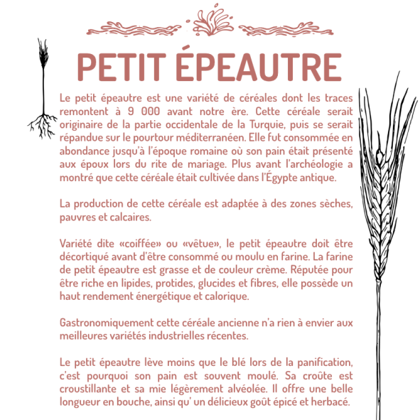 PETIT-EPEAUTRE
