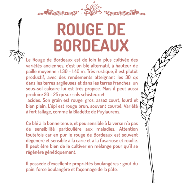 ROUGE-DE-BORDEAUX