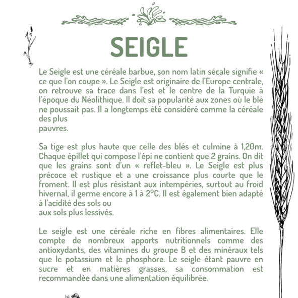 SEIGLE