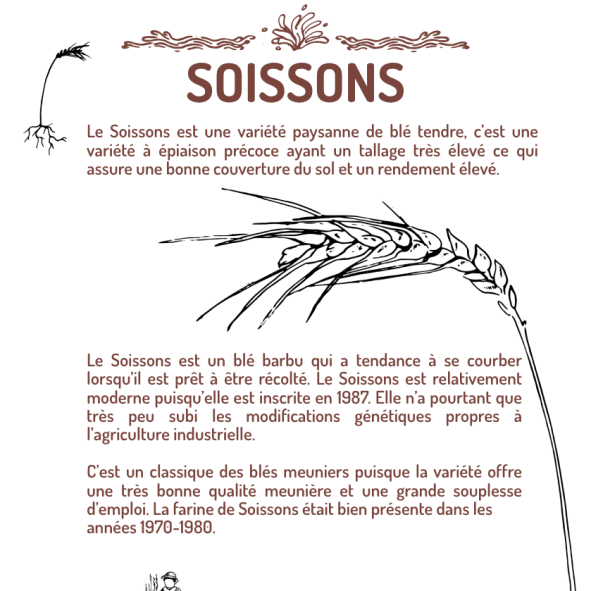 SOISSONS