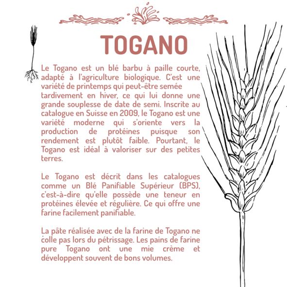 TOGANO